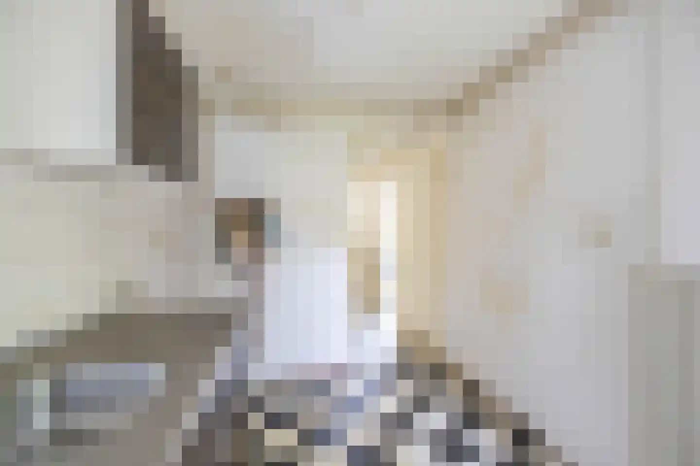Amalia van Solmsstraat 44 Groningen thumbnail 16