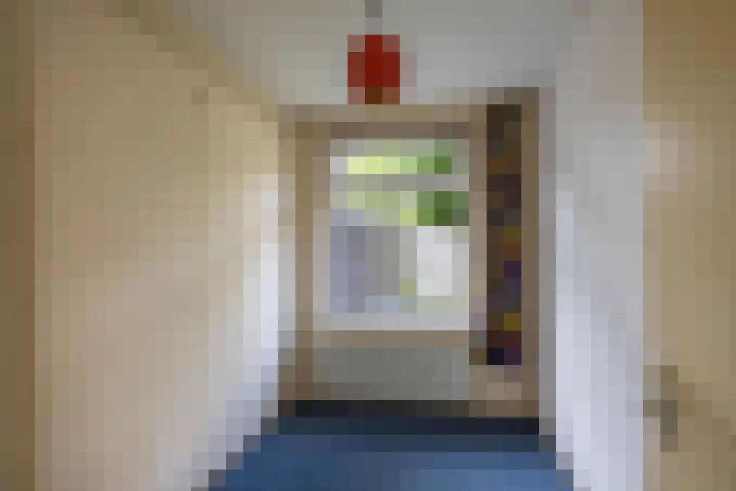 Amalia van Solmsstraat 44 Groningen thumbnail 17