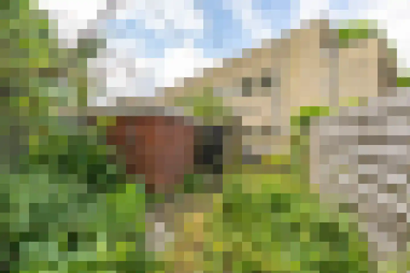 Amalia van Solmsstraat 44 Groningen thumbnail 25