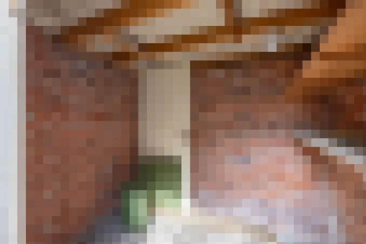 Amalia van Solmsstraat 44 Groningen thumbnail 28