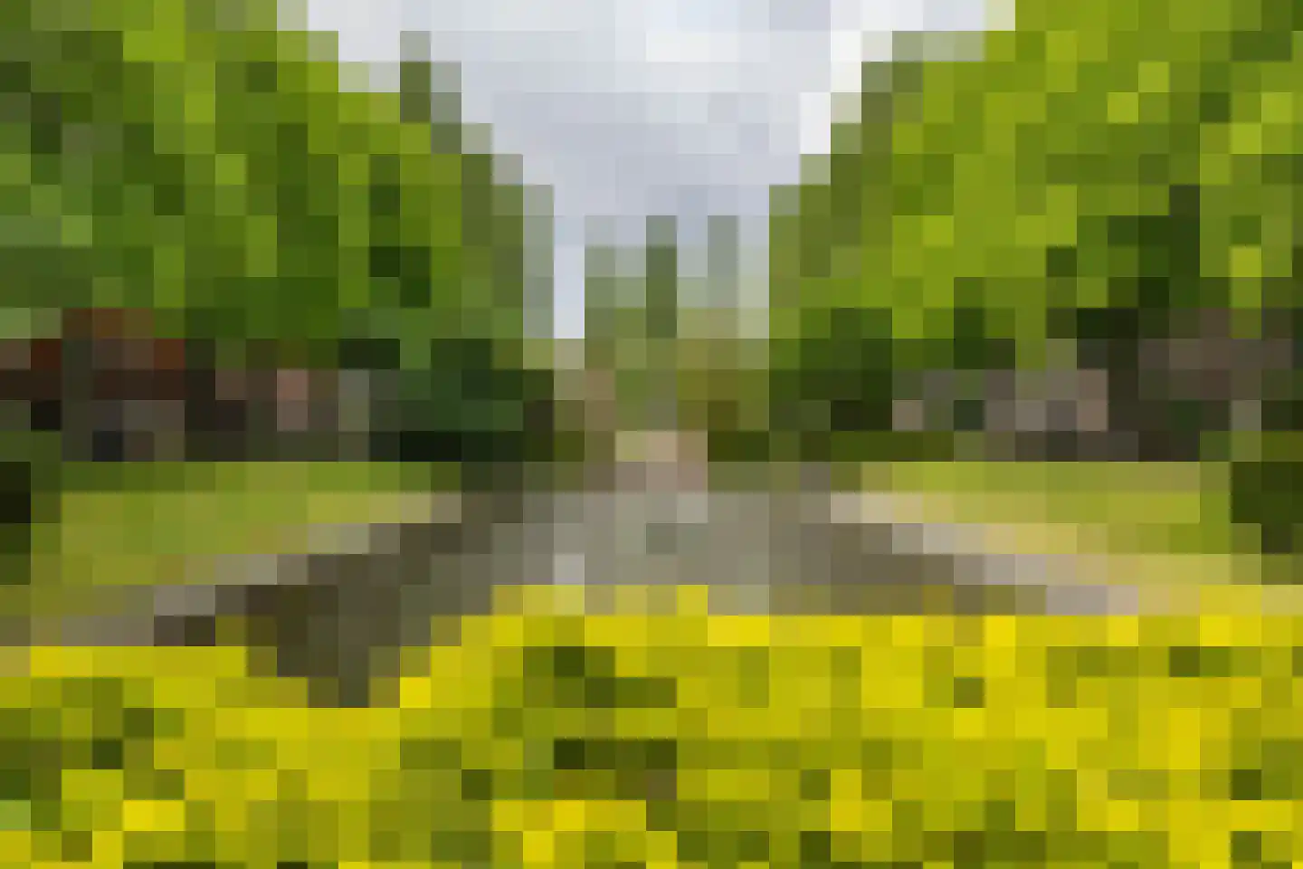 Amalia van Solmsstraat 44 Groningen thumbnail 29