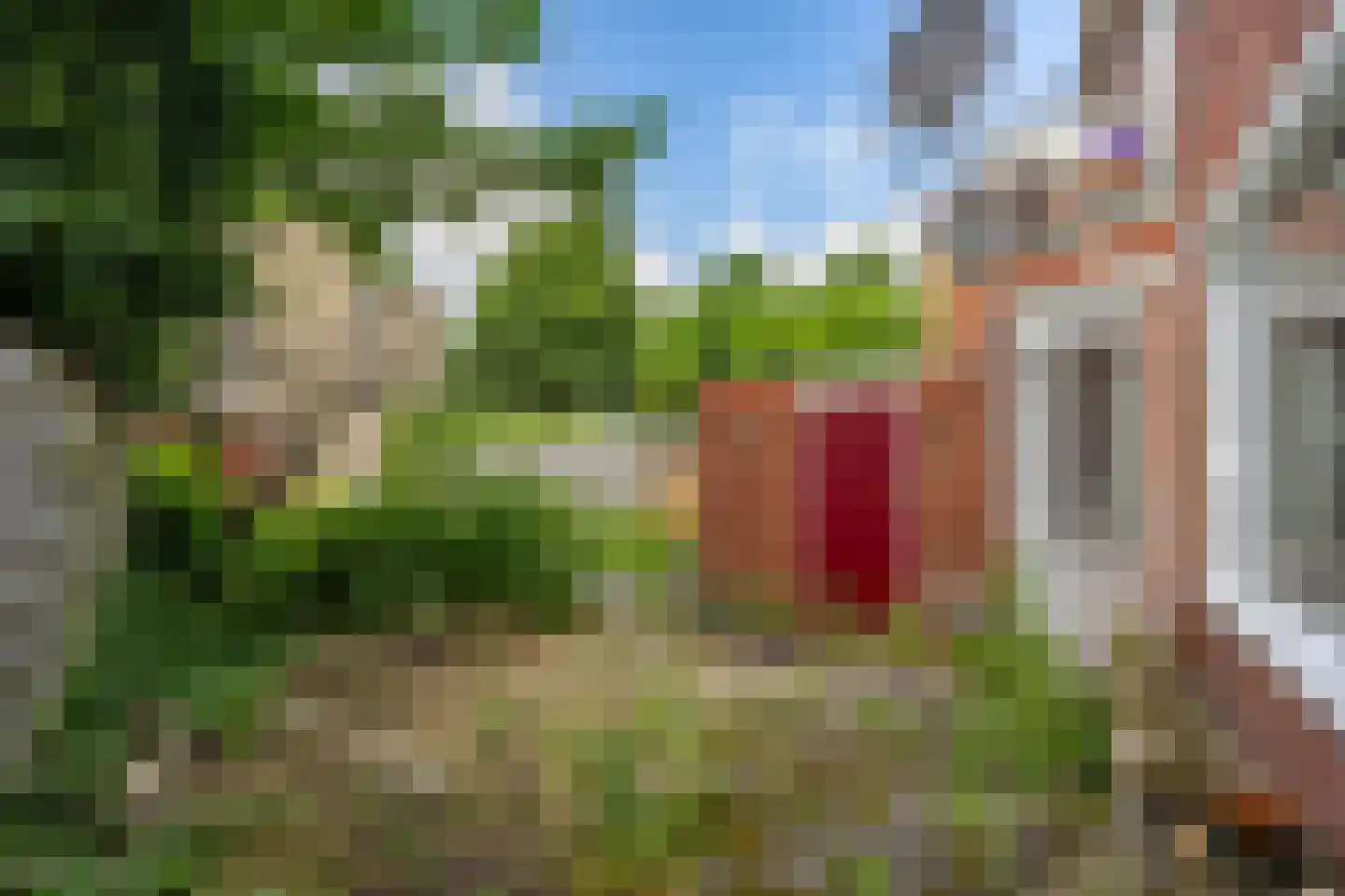 Amalia van Solmsstraat 44 Groningen thumbnail 4