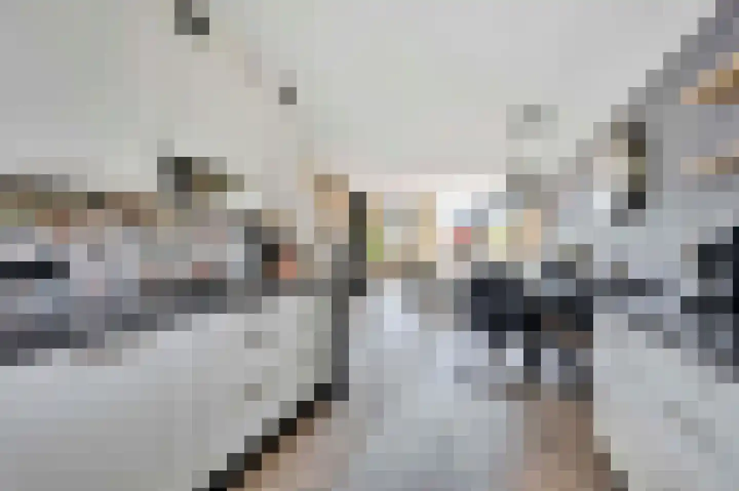 Amalia van Solmsstraat 45 Honselersdijk thumbnail 10