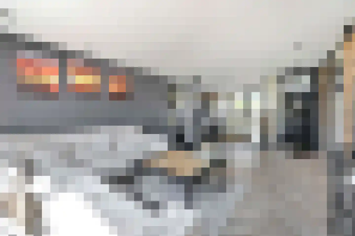 Amalia van Solmsstraat 45 Honselersdijk thumbnail 13