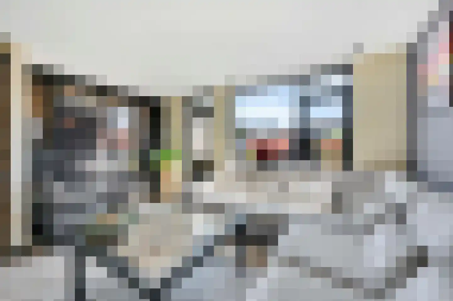Amalia van Solmsstraat 45 Honselersdijk thumbnail 15