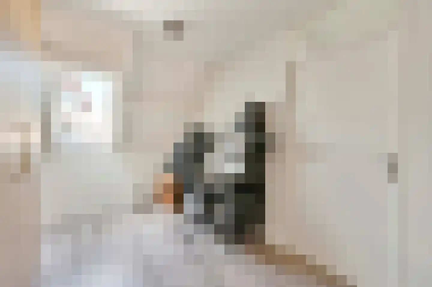Amalia van Solmsstraat 45 Honselersdijk thumbnail 27