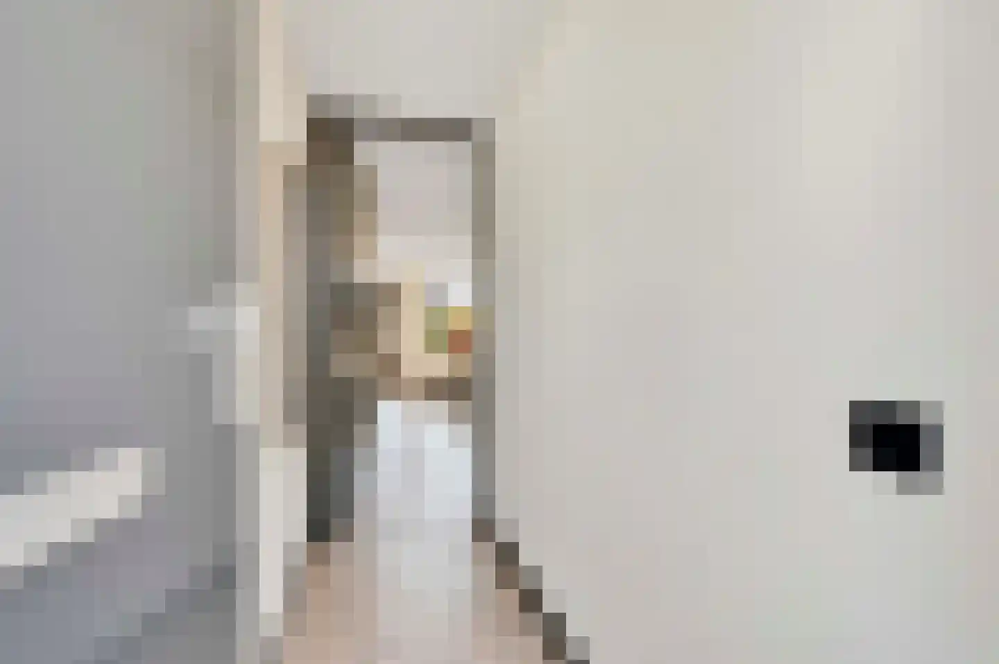 Amalia van Solmsstraat 45 Honselersdijk thumbnail 6