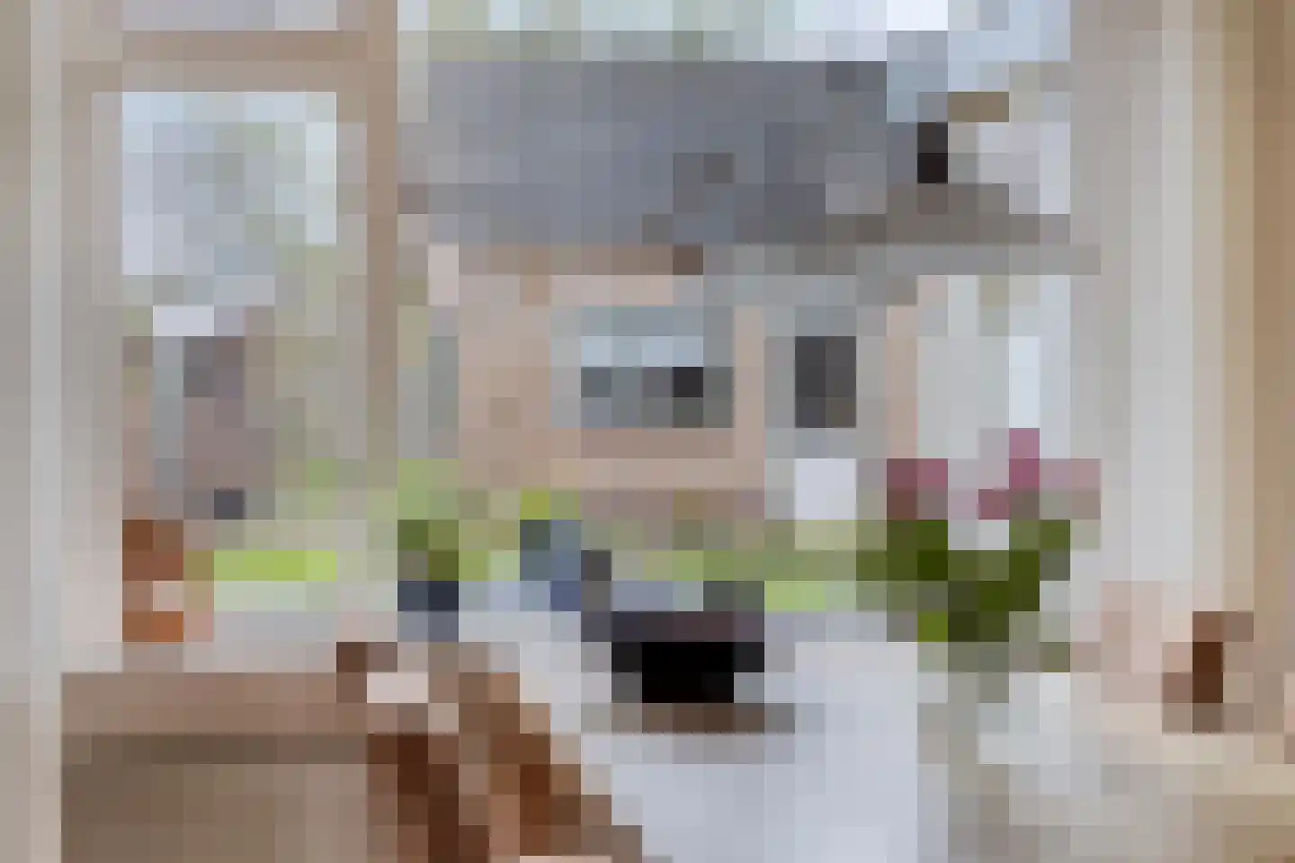 Amalia van Solmsstraat 51 Drimmelen thumbnail 11