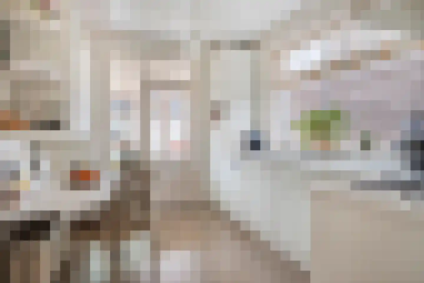 Amalia van Solmsstraat 51 Drimmelen thumbnail 12