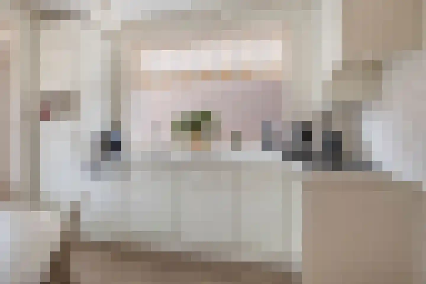 Amalia van Solmsstraat 51 Drimmelen thumbnail 13
