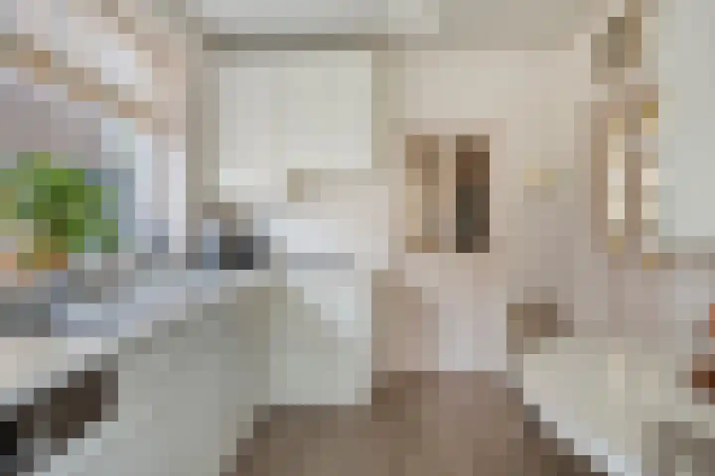 Amalia van Solmsstraat 51 Drimmelen thumbnail 14