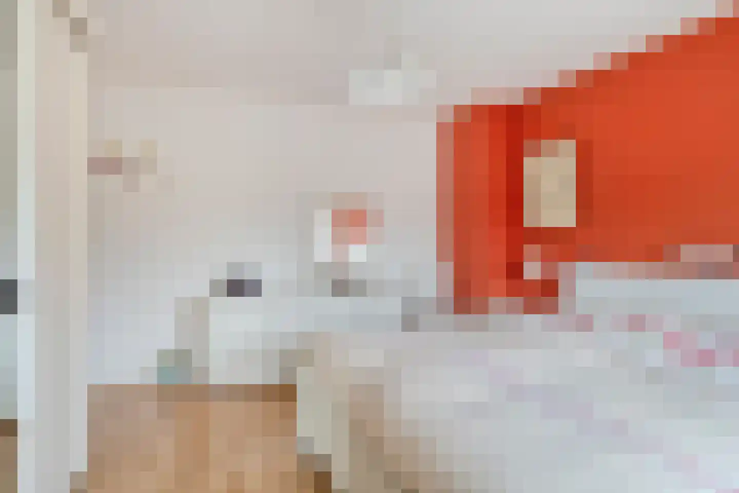 Amalia van Solmsstraat 51 Drimmelen thumbnail 21