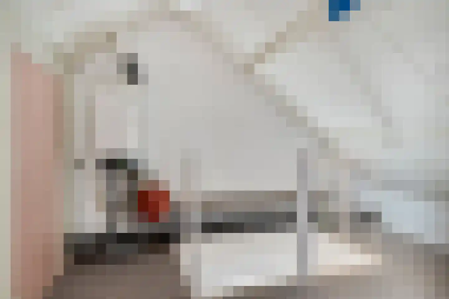 Amalia van Solmsstraat 51 Drimmelen thumbnail 30