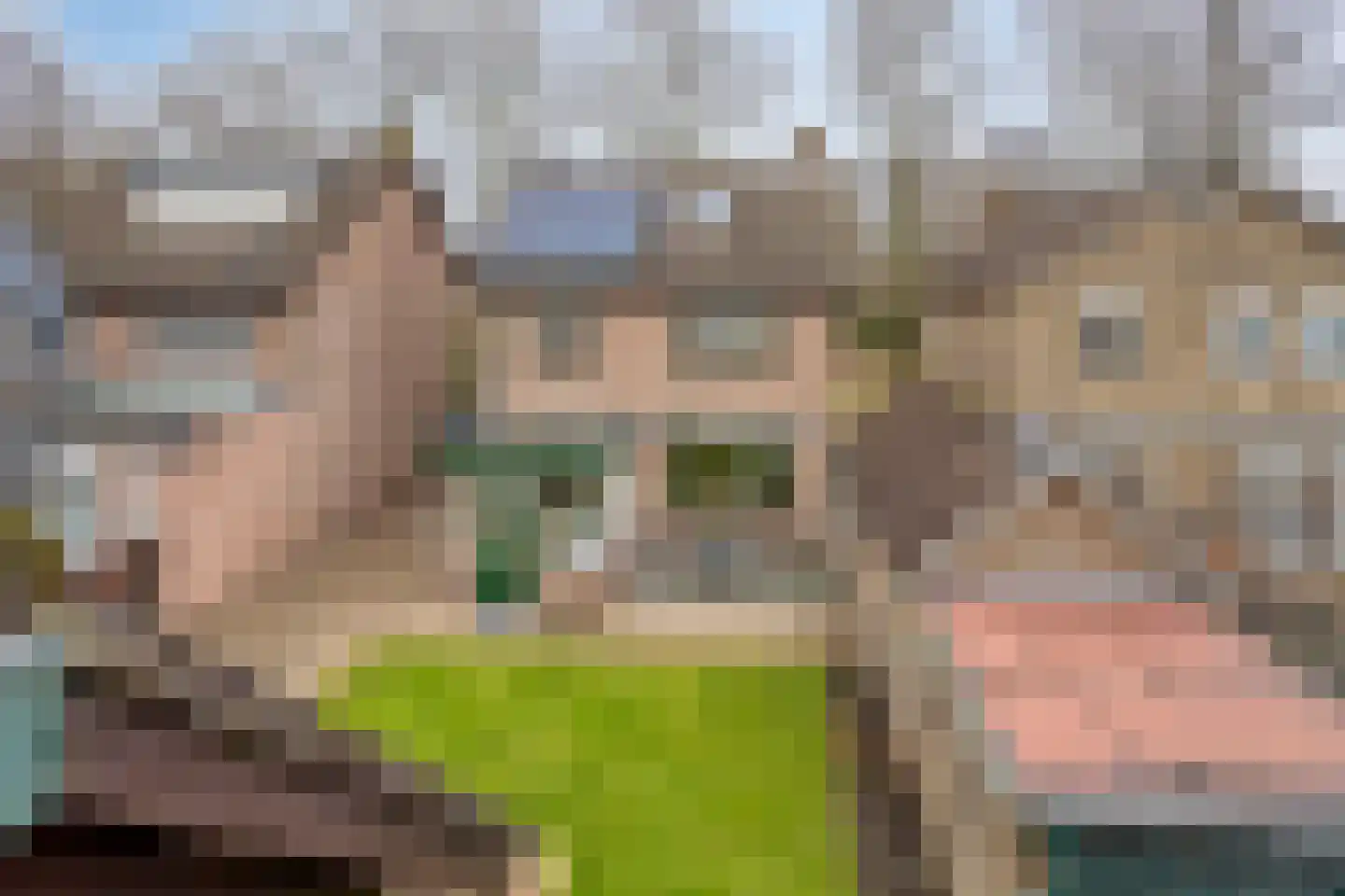 Amalia van Solmsstraat 51 Drimmelen thumbnail 39
