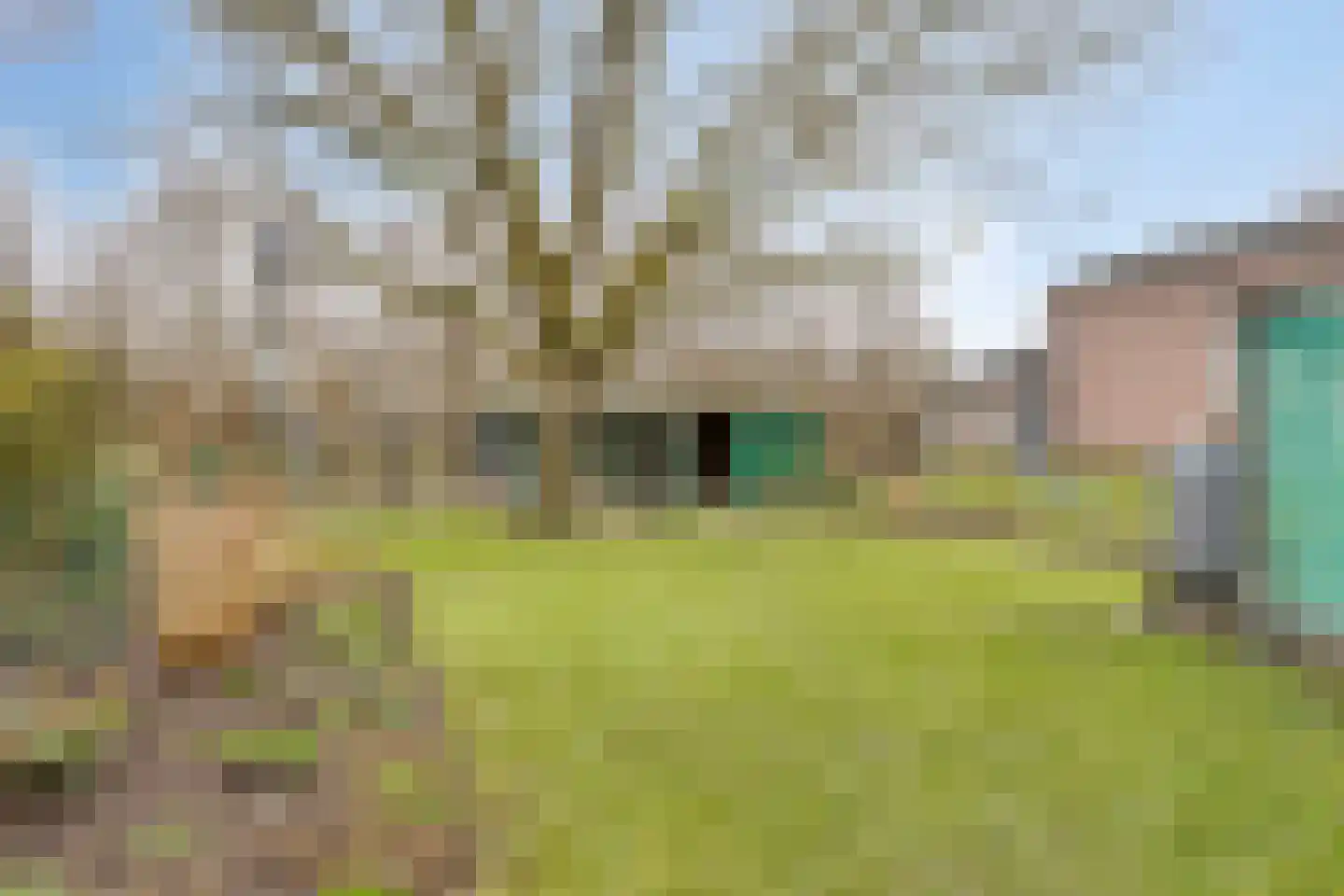 Amalia van Solmsstraat 51 Drimmelen thumbnail 40