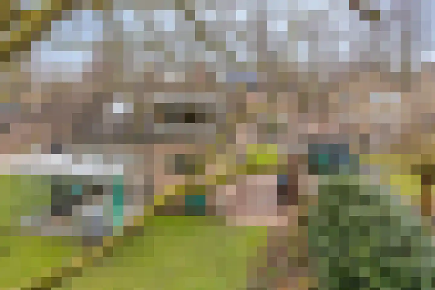 Amalia van Solmsstraat 51 Drimmelen thumbnail 47
