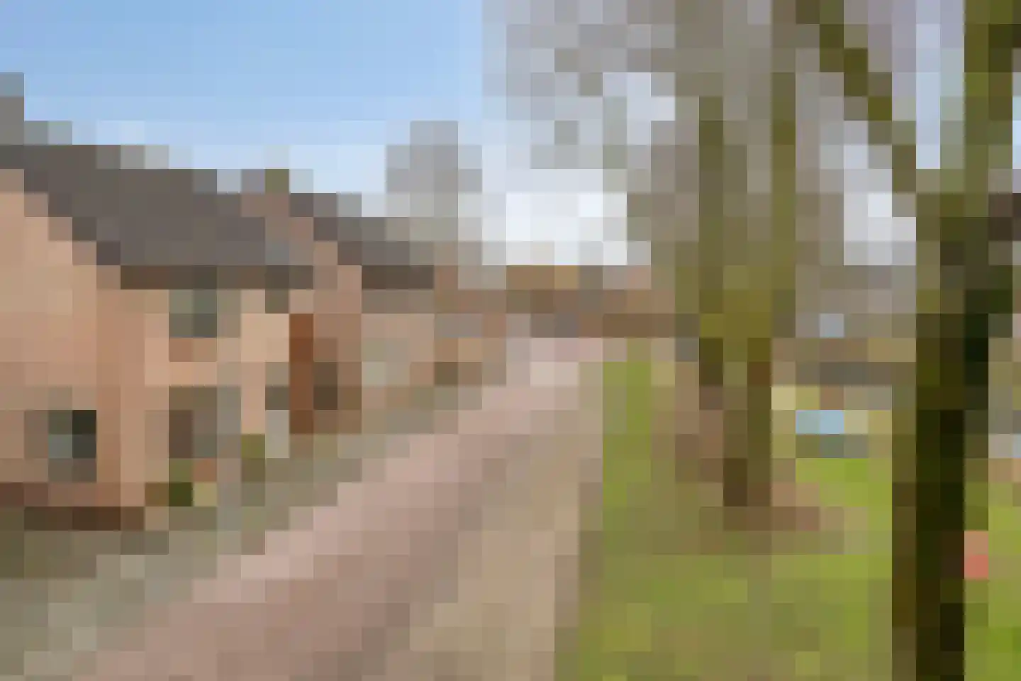 Amalia van Solmsstraat 51 Drimmelen thumbnail 5