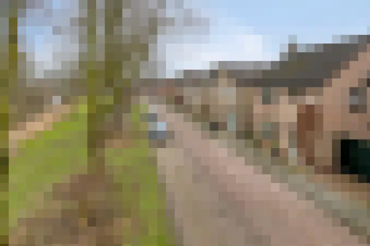 Amalia van Solmsstraat 51 Drimmelen thumbnail 53
