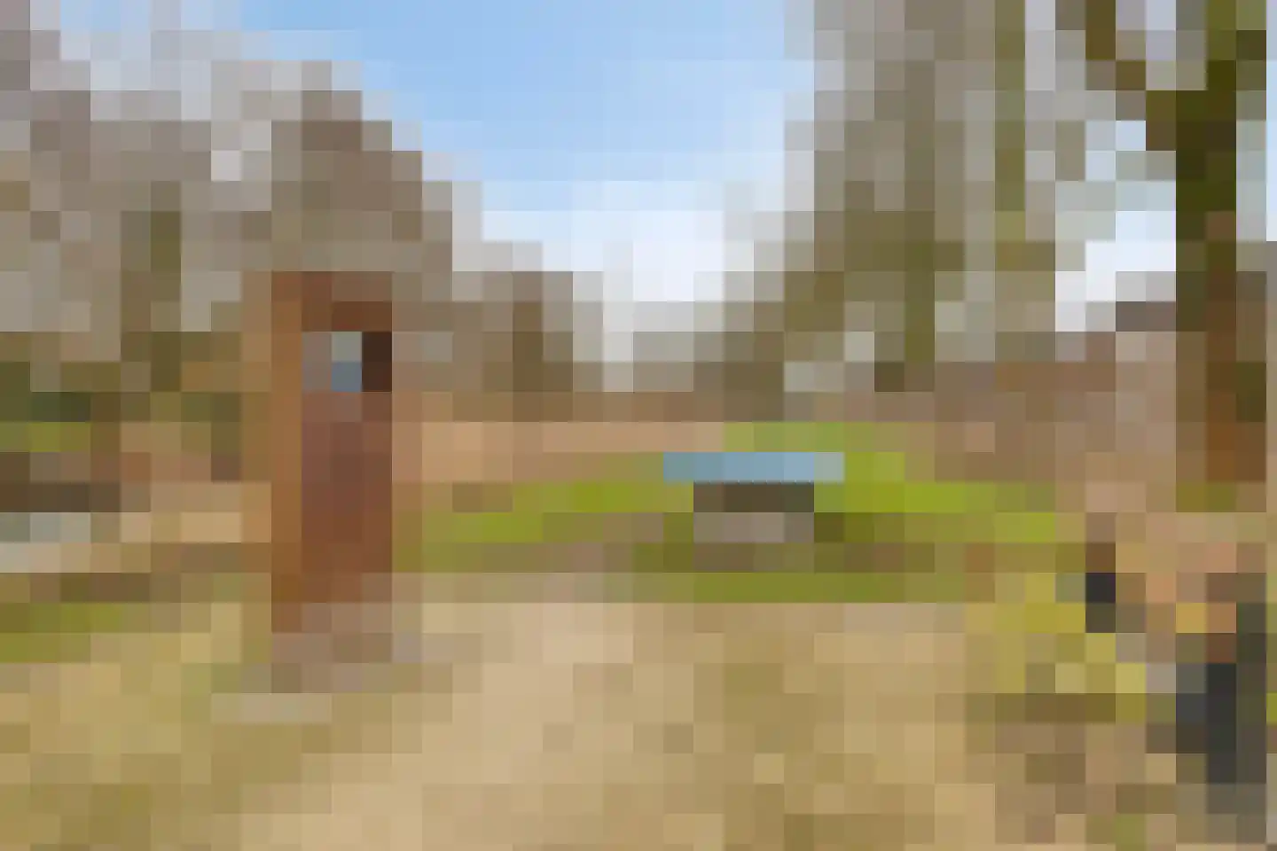 Amalia van Solmsstraat 51 Drimmelen thumbnail 58