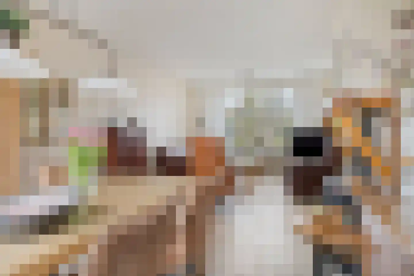 Amalia van Solmsstraat 51 Drimmelen thumbnail 8