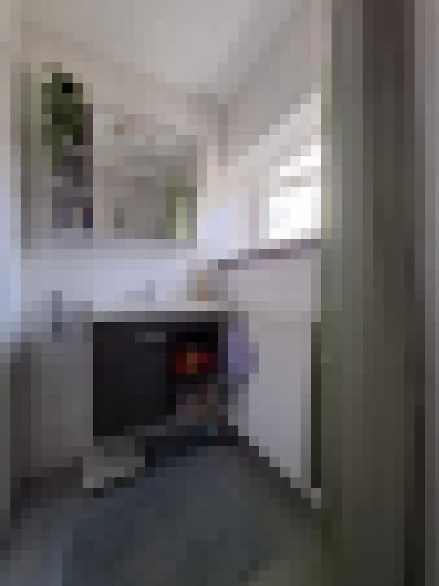 Amalia van Solmsstraat 53 Dordrecht thumbnail 15