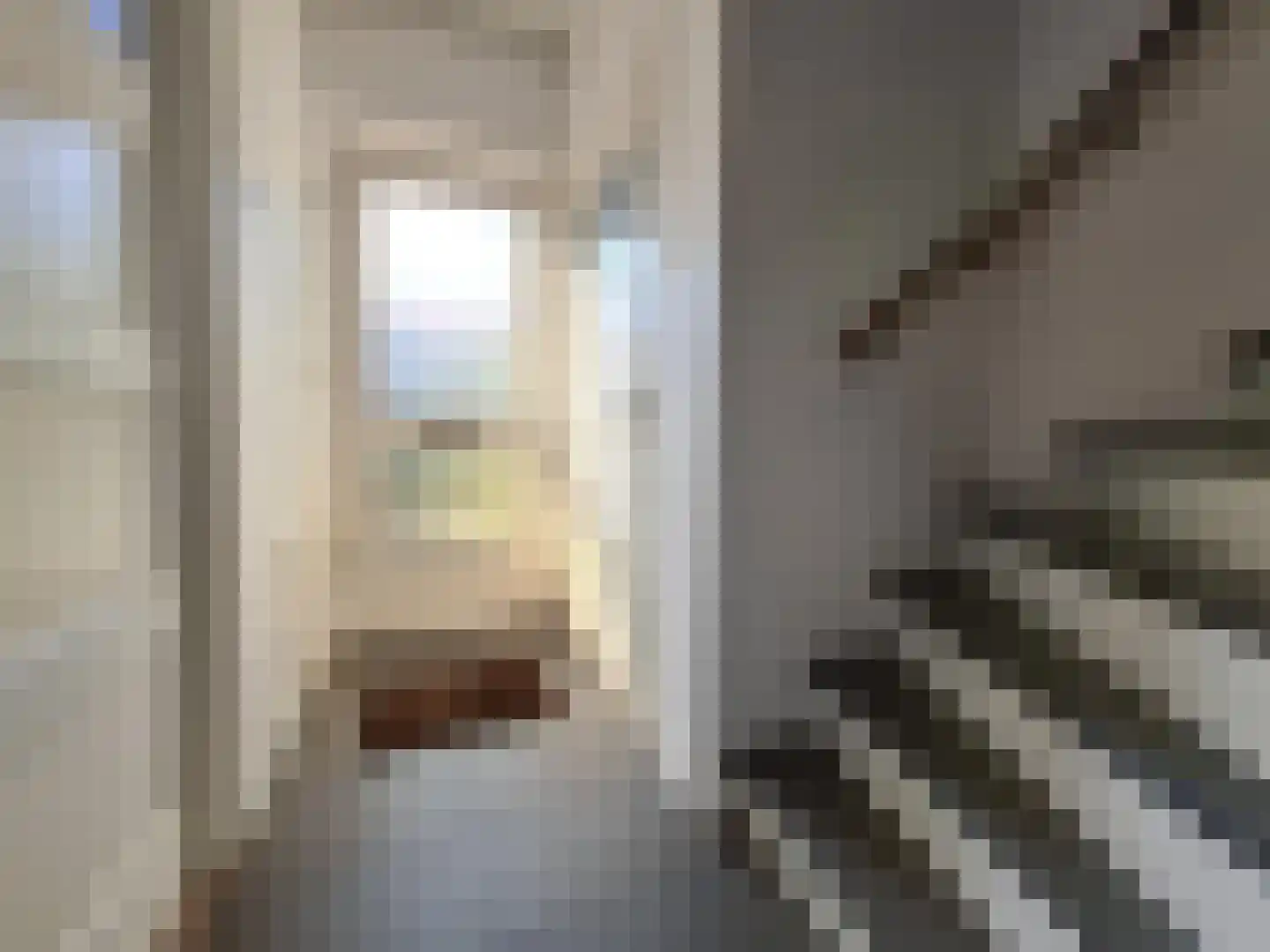 Amalia van Solmsstraat 53 Dordrecht thumbnail 4