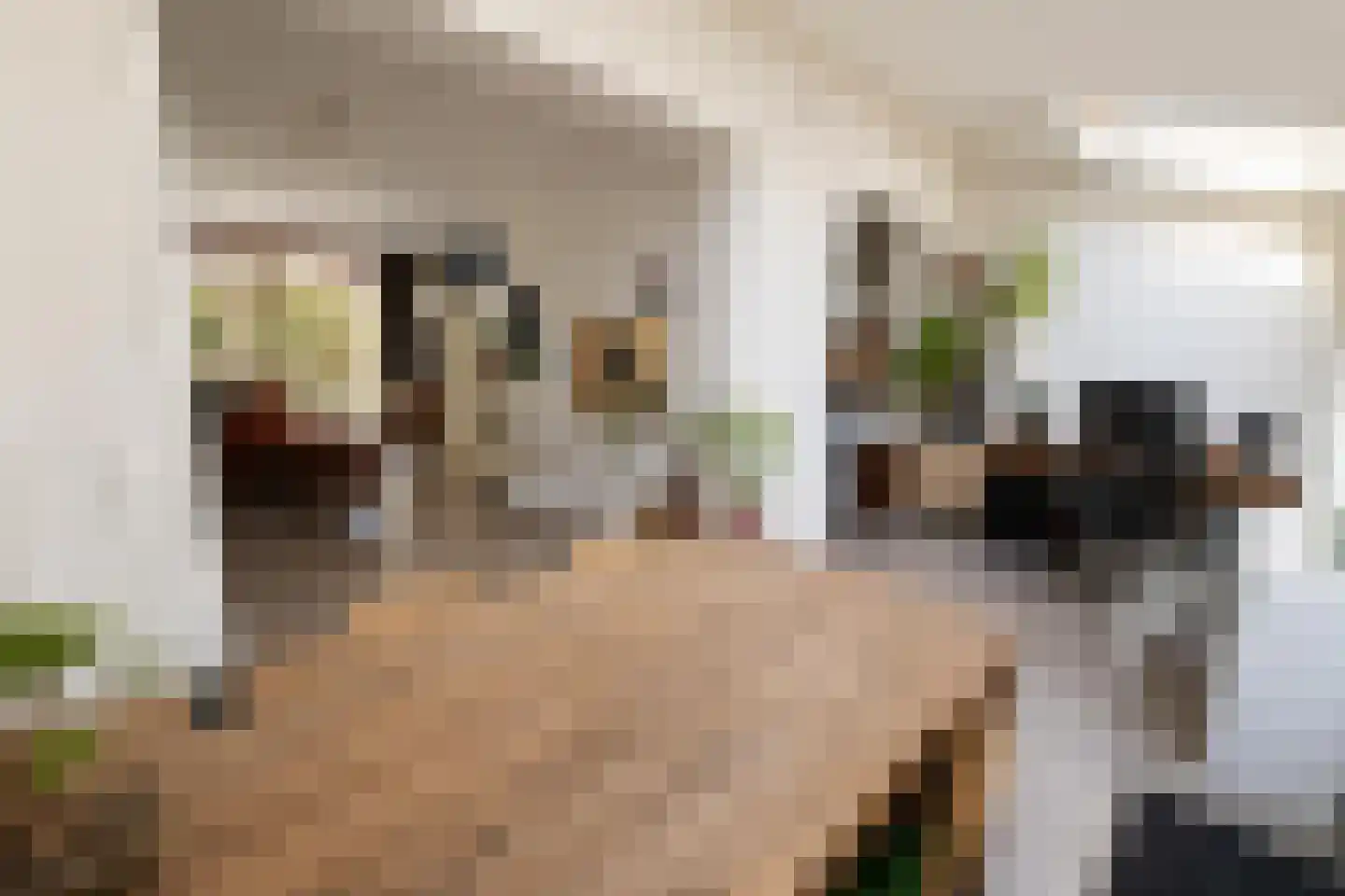 Amalia van Solmsstraat 53 Dordrecht thumbnail 8