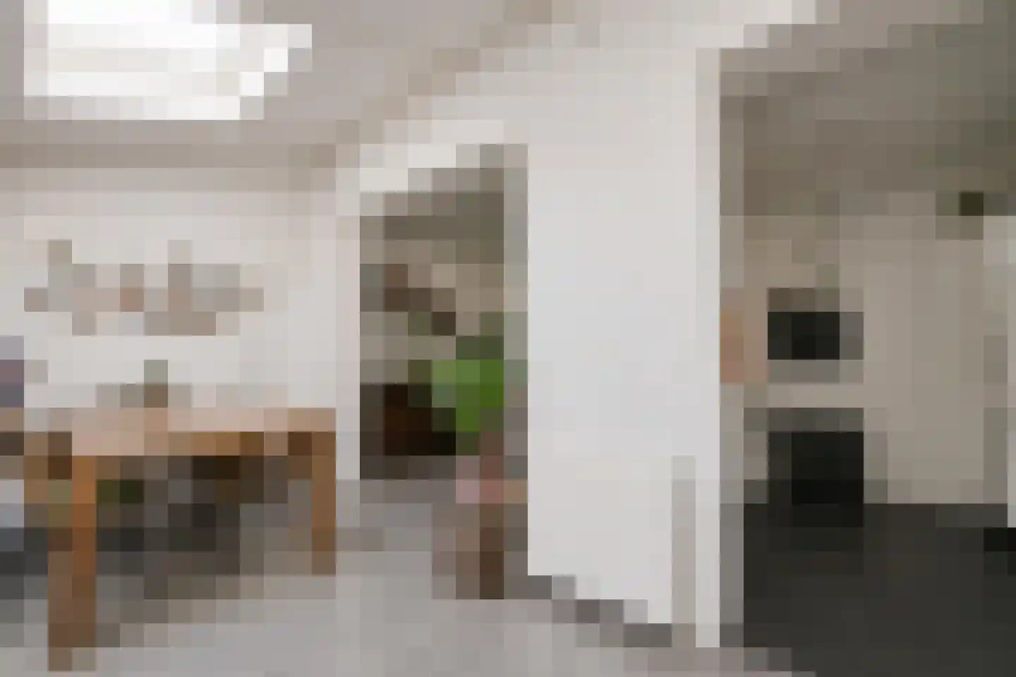 Amalia van Solmsstraat 53 Dordrecht thumbnail 9