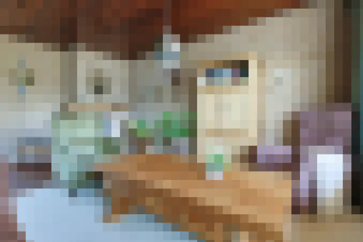 Amalia van Solmsstraat 7 Alphen aan den Rijn thumbnail 13