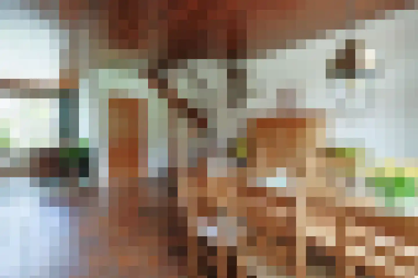 Amalia van Solmsstraat 7 Alphen aan den Rijn thumbnail 16