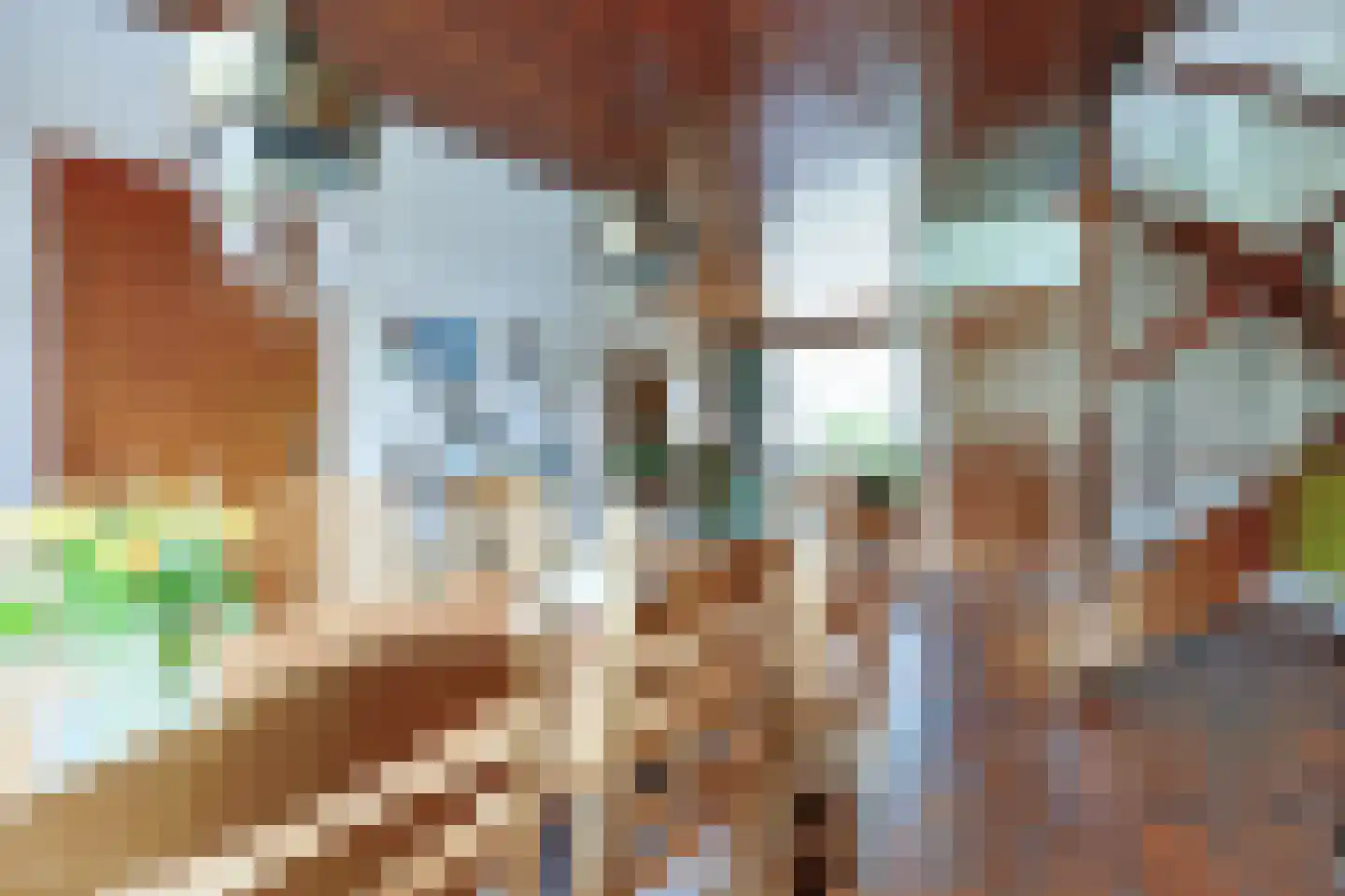 Amalia van Solmsstraat 7 Alphen aan den Rijn thumbnail 17