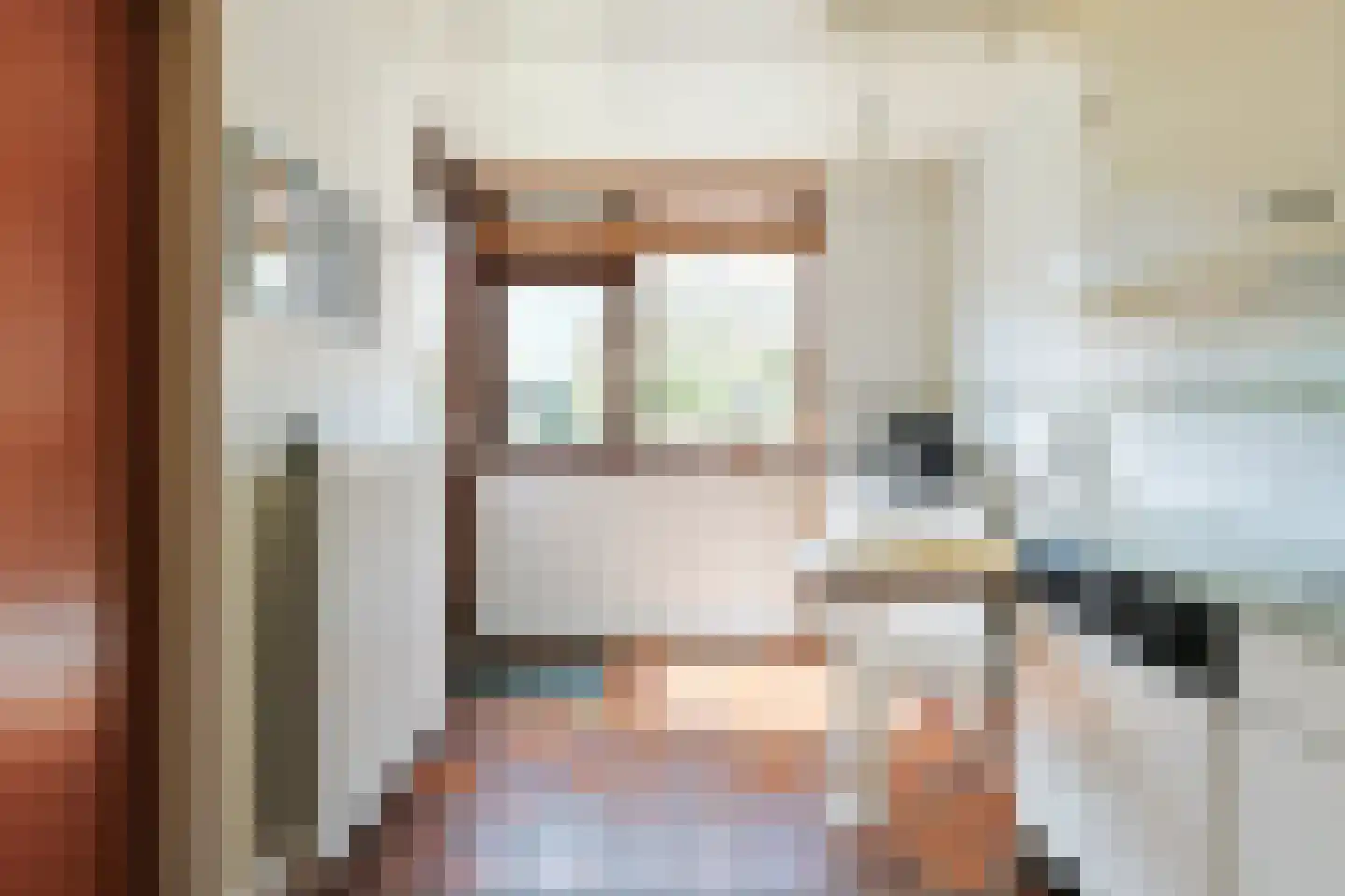 Amalia van Solmsstraat 7 Alphen aan den Rijn thumbnail 19