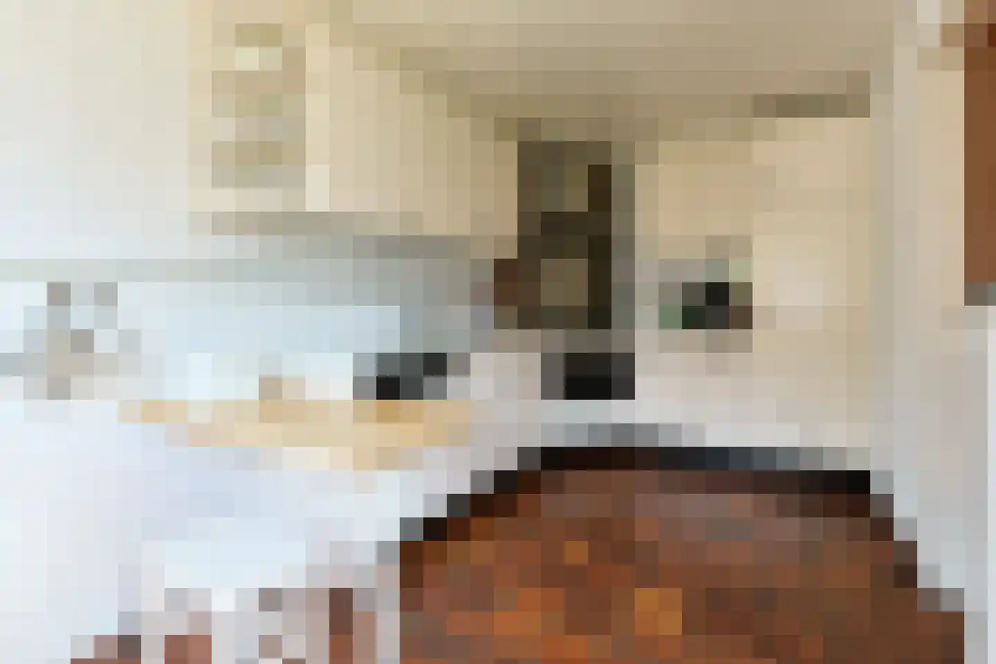 Amalia van Solmsstraat 7 Alphen aan den Rijn thumbnail 20