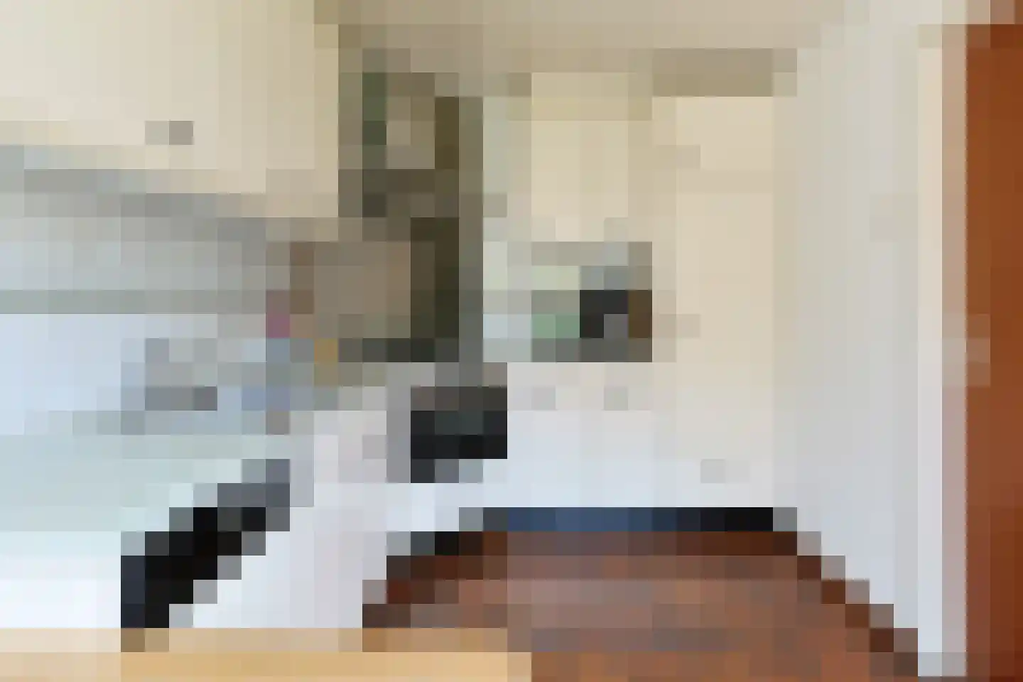 Amalia van Solmsstraat 7 Alphen aan den Rijn thumbnail 22