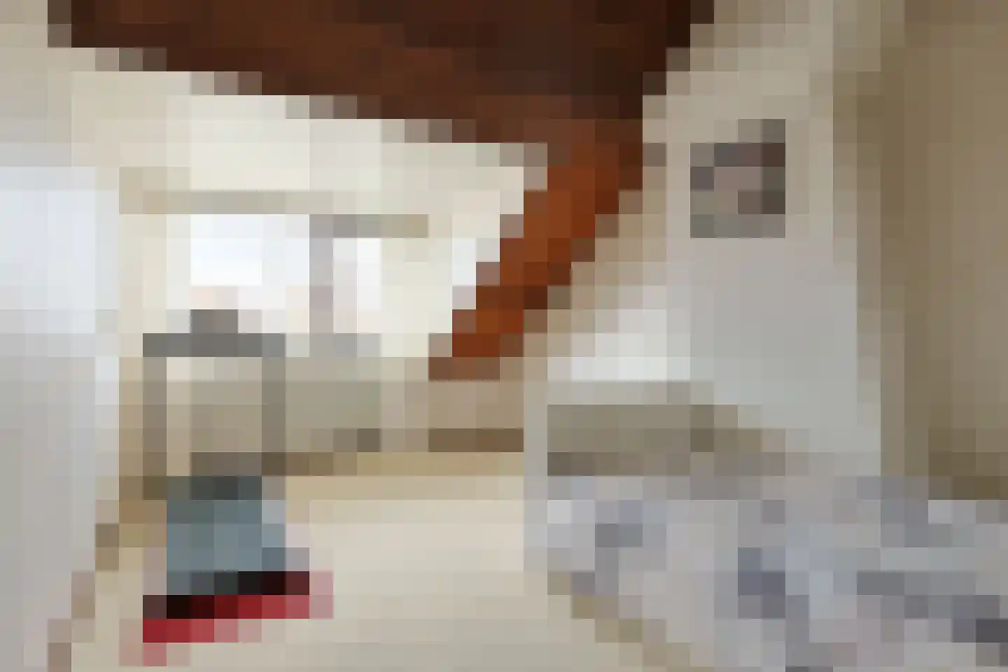 Amalia van Solmsstraat 7 Alphen aan den Rijn thumbnail 49