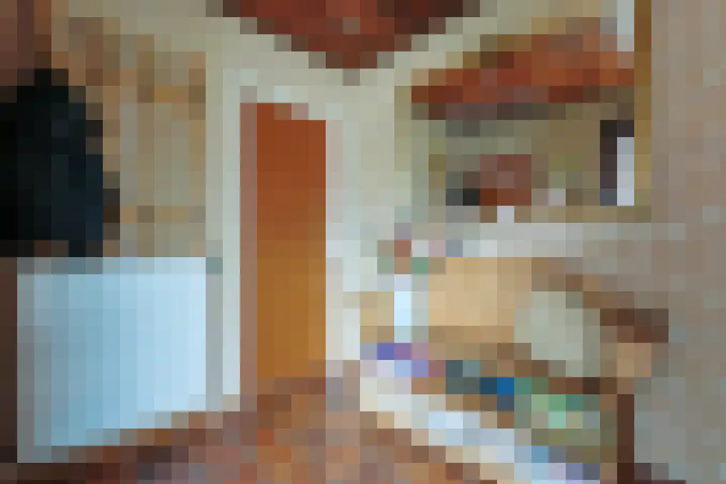 Amalia van Solmsstraat 7 Alphen aan den Rijn thumbnail 8