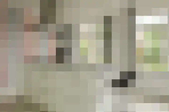 Amalia van Solmsstraat 7 Oosterhout thumbnail 14