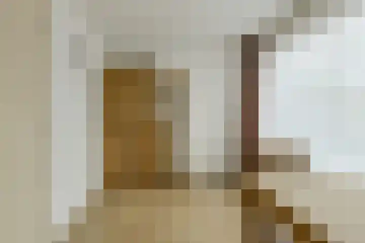 Amalia van Solmsstraat 7 Oosterhout thumbnail 32