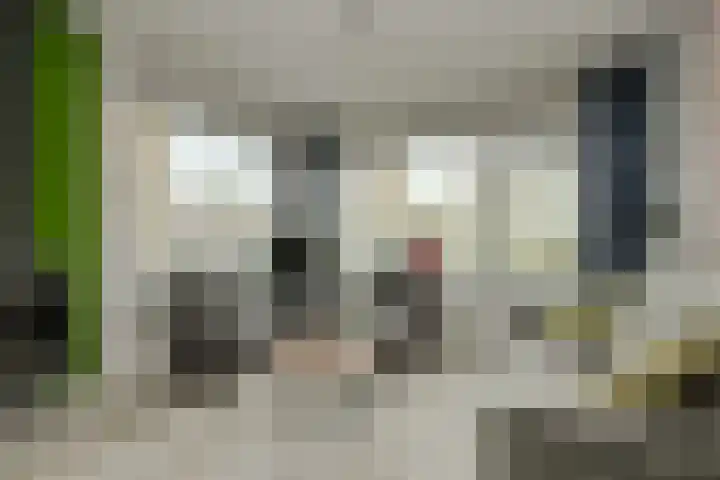 Amalia van Solmsstraat 7 Oosterhout thumbnail 7