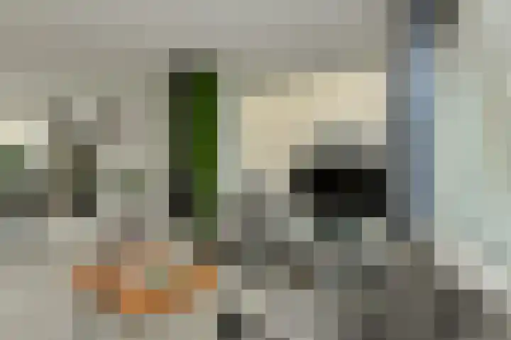 Amalia van Solmsstraat 7 Oosterhout thumbnail 8
