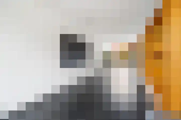 Amalia van Solmsstraat 78 Den Haag thumbnail 13