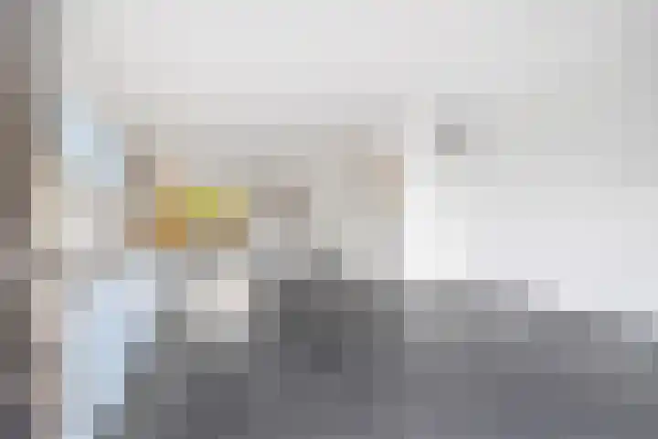 Amalia van Solmsstraat 78 Den Haag thumbnail 9