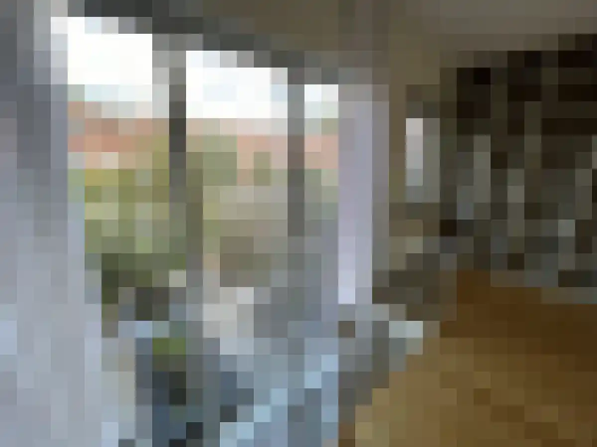 Amalia van Solmsstraat 80 Den Haag thumbnail 4