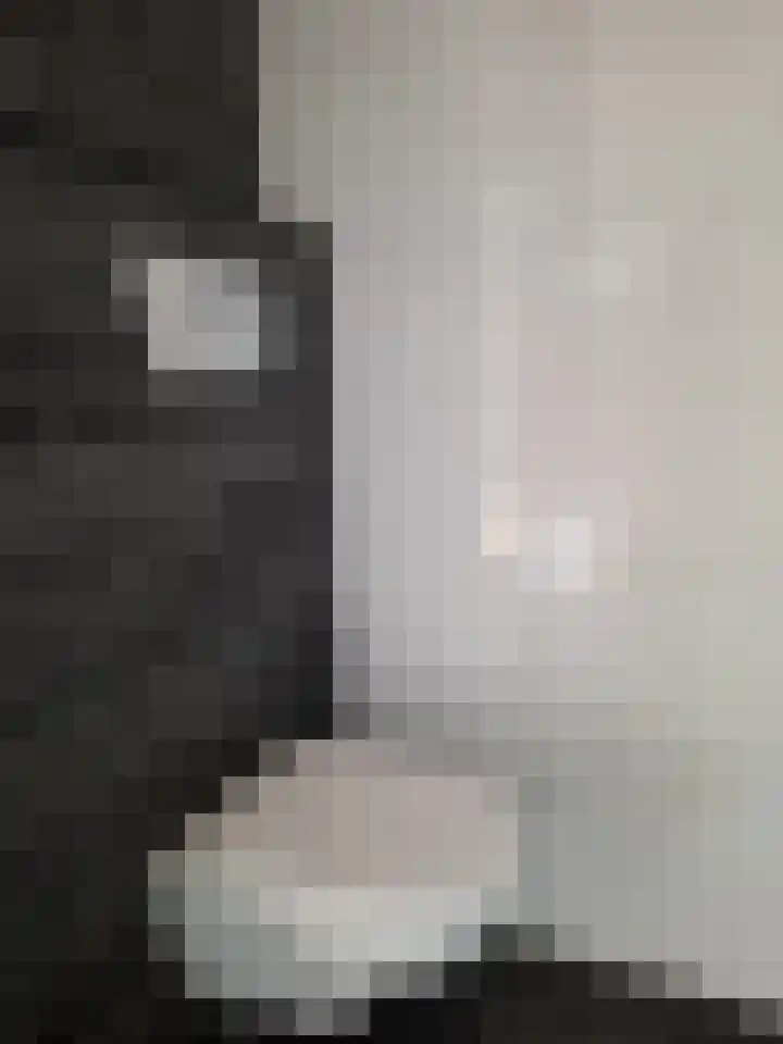Amalia van Solmsstraat 87 Dordrecht thumbnail 6