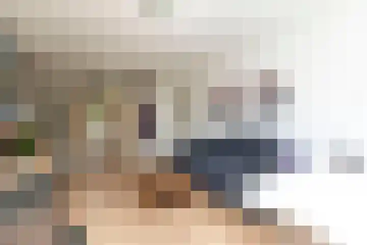 Amalia van Solmsstraat 9 Dordrecht thumbnail 6