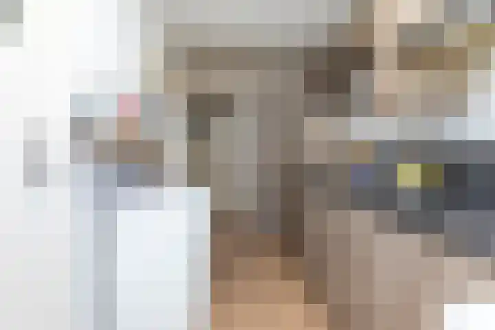 Amalia van Solmsstraat 9 Dordrecht thumbnail 8