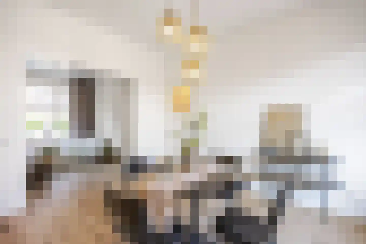 Amalia van Solmsstraat 9 Groningen thumbnail 16