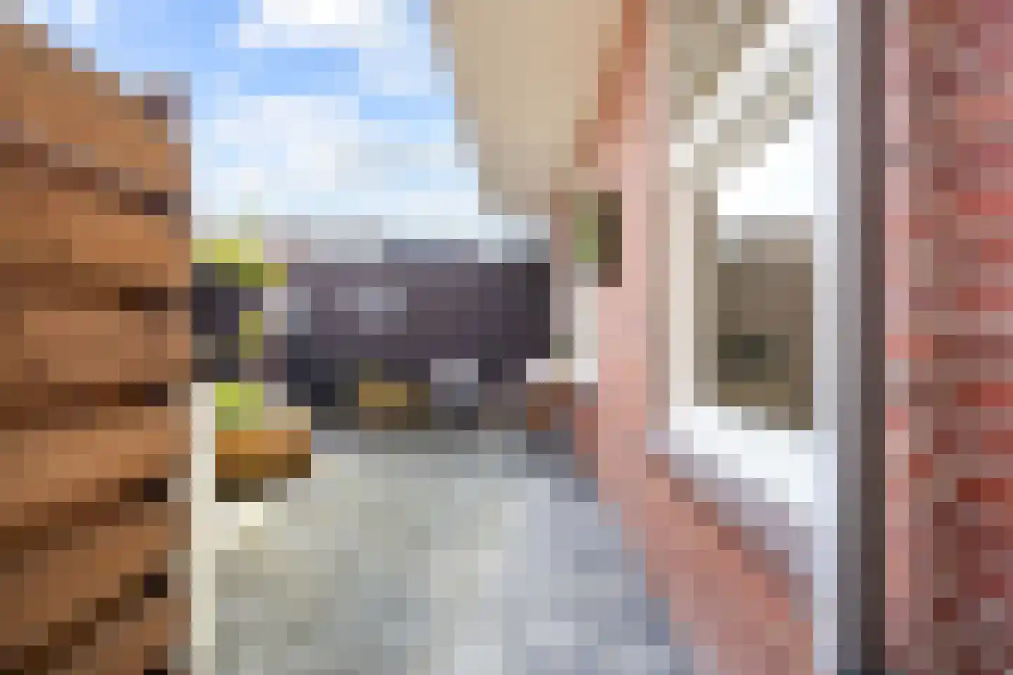 Amalia van Solmsstraat 9 Groningen thumbnail 30