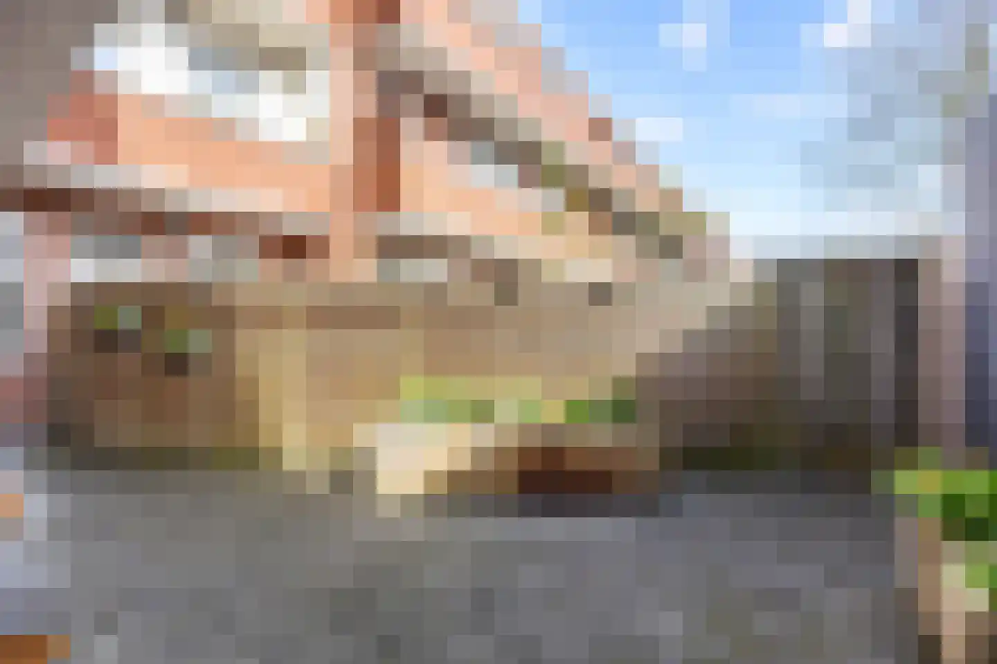 Amalia van Solmsstraat 9 Groningen thumbnail 33