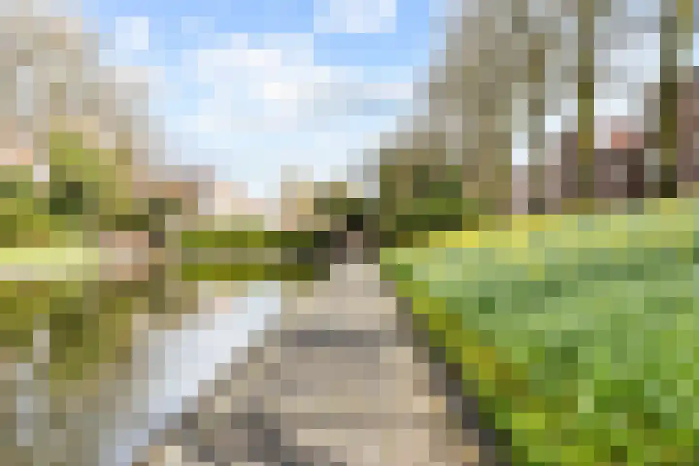 Amalia van Solmsstraat 9 Groningen thumbnail 4